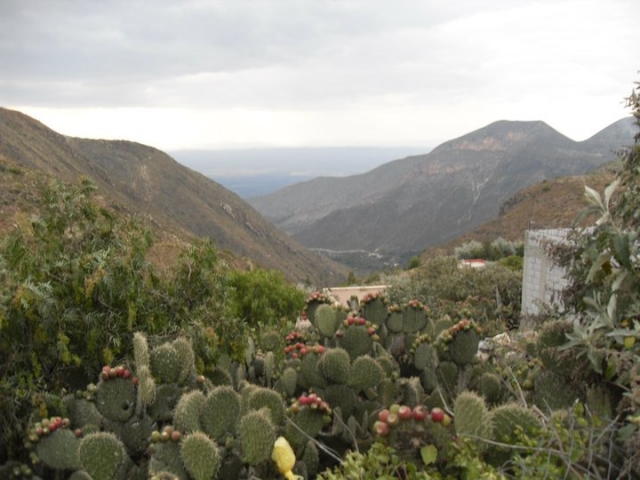 Paisajes semideserticos